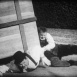 Laurel et Hardy Livreurs & Bricoleurs