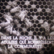 La Vie ardente des Abeilles