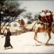 Au Coeur du Sahara