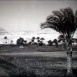 L'Égypte de Pharaon