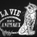 La Vie des Animaux "Pôle Nord"