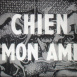 Chien mon Ami
