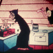 Les Aventures de Mathurin Popeye le Matelot