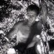 Les Nouvelles Aventures de Tarzan