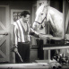 Mister Ed B