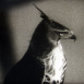 Les Animaux du Monde "Les Rapaces exotiques"