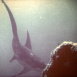 La Vie secrète des Animaux "Le Requin-Marteau"