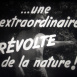 Montage de 4 Films Annonces Jungle