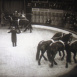 Une Soirée au Cirque Bouglione