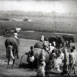 À la Recherche des Élephants sauvages