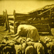 L'Élevage du Mouton