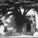 La France est belle "Bandol"