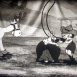 Betty Boop "Betty et le Petit Roi"