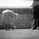 Film Amateur 1932