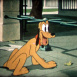 Pluto au Zoo