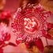 Fleurs et Insectes