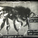 L'Abeille