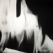 Combustions vives