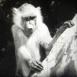 Caroline fait du Cin&eacute;ma