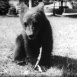 Rencontre au Zoo