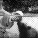 Rencontre au Zoo