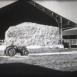 L'Ensilage