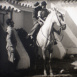Torero
