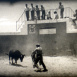 Torero