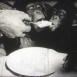 Nos Amis du Zoo