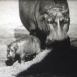 Nos Amis du Zoo
