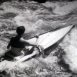 La Croisière sauvage
