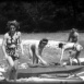 La Croisière sauvage