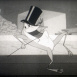 Festival Dessin Anim&eacute; N&B 1950