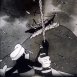 Flip la Grenouille "Flip dans la Tempête"
