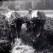 Le Limousin