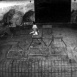 Les Jeux du Cirque "Ben-Hur dans la Cage aux Lions"