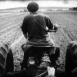 Renaissance agricole