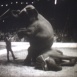 Vingt-quatre Heures de la Vie d'un Cirque