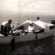 La Limnologie du Lac Léman