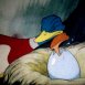 Le vilain petit Canard