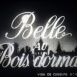 La Belle au Bois dormant