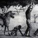 La plus noble Conquête du Singe