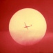 Flight