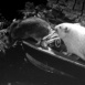Tales of the Riverbank n°1