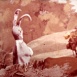 Le Renard, la Belette et le petit Lapin