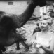Actualités Françaises 1958 N°17
