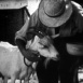 La Chèvre de Monsieur Seguin