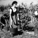 Actualités Françaises 1956 N°45