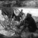 Au Royaume des Éléphants 