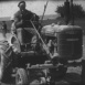 Mécanisation des Démariages de Betterave en 1948